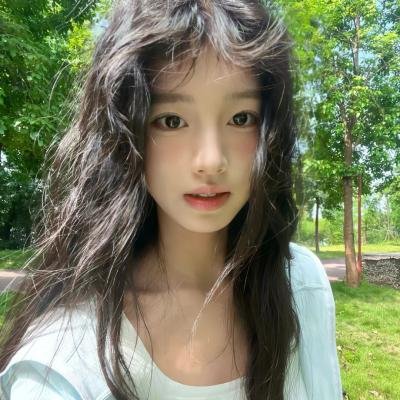 太阳花
